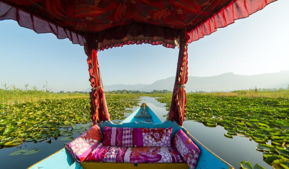 0t10n9p7zcxqsb5wdjm50z5996h2_shutterstock_776856442 - Copy