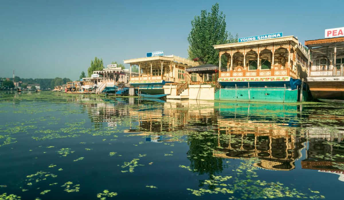 8xtcwkg4c17tt1t85xtoqlog6j99_shutterstock_1282523707 - Copy