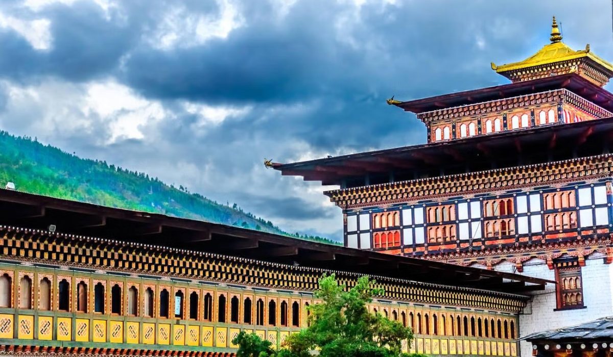 imgi_364_c629owxdmvtyqjjpizi939be620u_steptodown.com733483