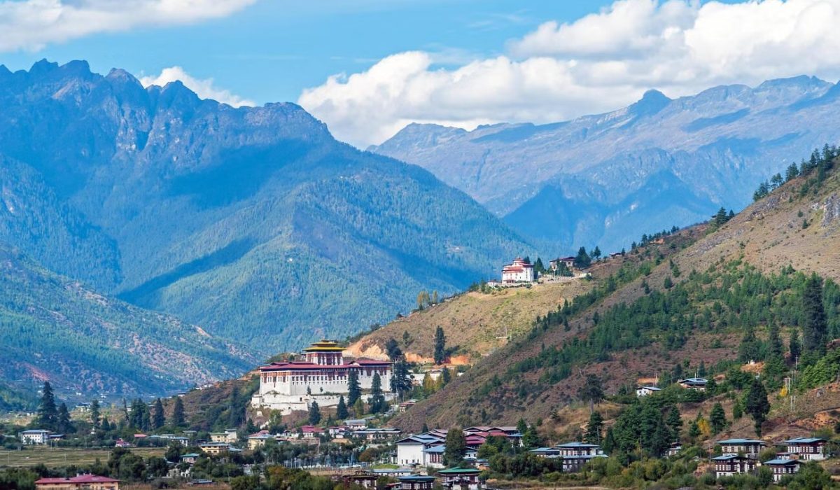 imgi_368_2tlg51hsl1mfnxtrbkoyn411rqfy_steptodown.com529045