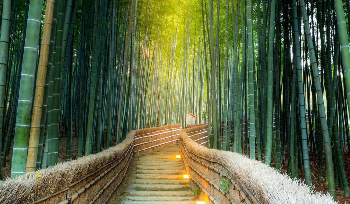 imgi_523_tru0m7f1af1bz3g10h8fukavljrk_arashiyama-Gallery