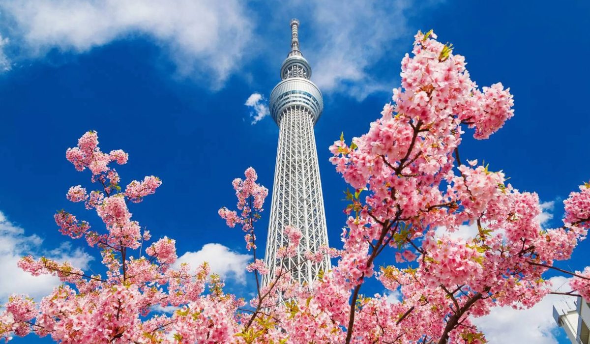 imgi_571_hra7u33gi63zhznnzb3nrs17jr3t_Tokyo Skytree-2