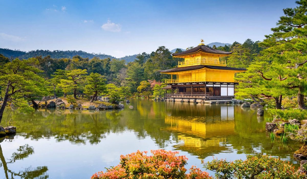 imgi_591_tk0oxdvtejeftk552omi4jfm7zh5_Downpic.cc-76241439