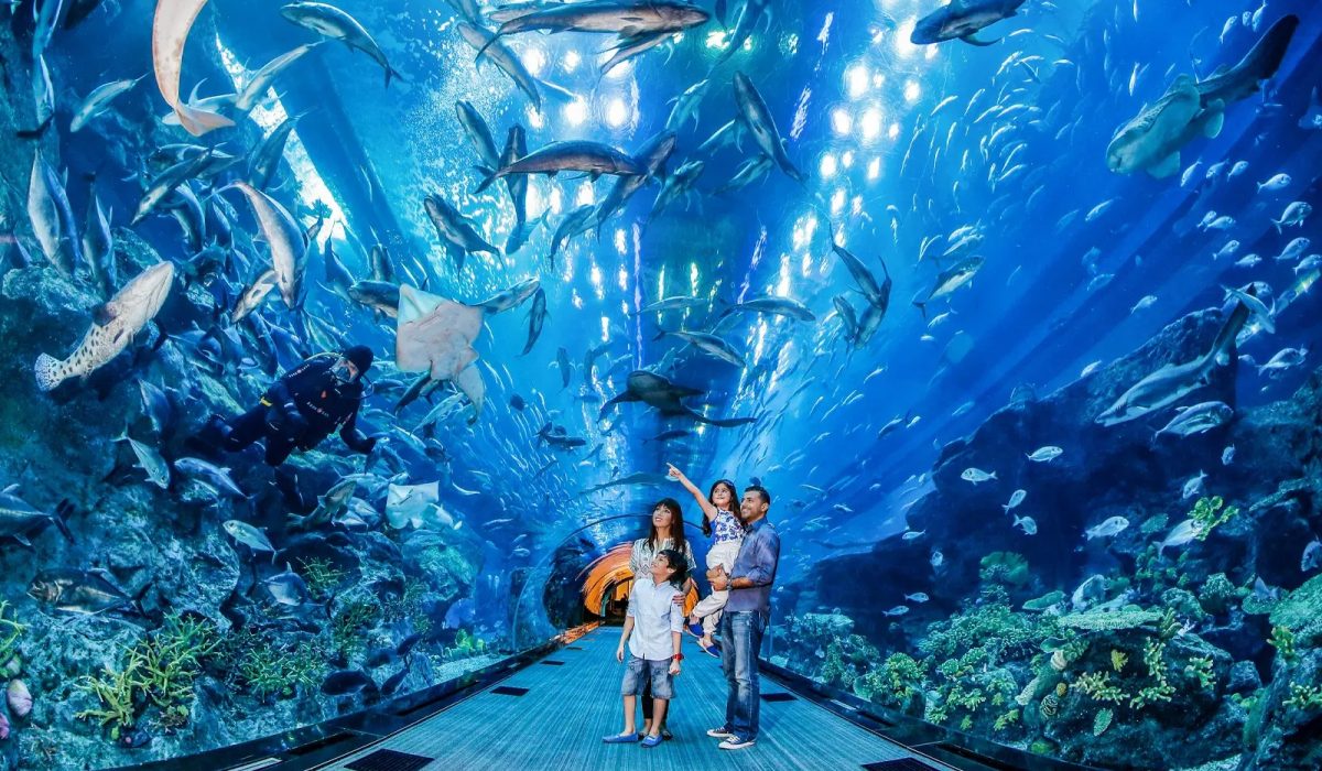 imgi_638_rbfpnbim9d5uw3iuwfcjk928yy5j_29d07cda-b6e3-447f-a225-2b55cea6b159-2545-dubai-dubai-aquarium---underwater-zoo---burj-khalifa-combo-02