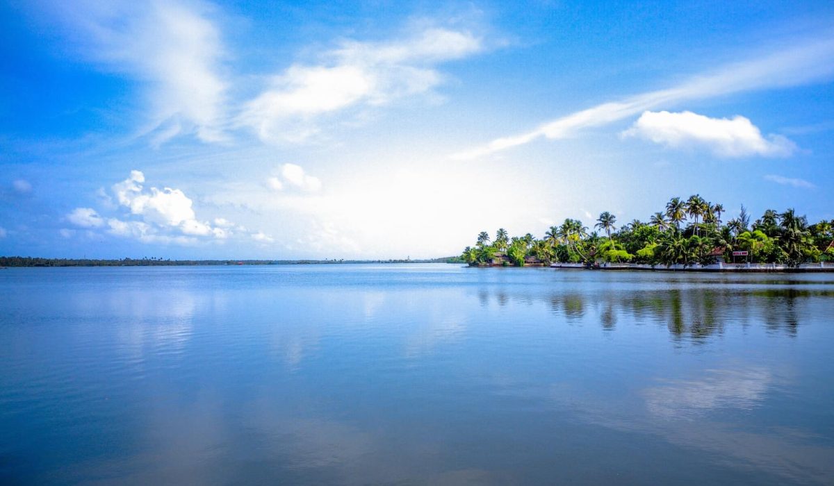 ln0jsjminfjjp2fhkrzwuuuk3mvo_jaison-thomas-Q_CaGLBa8QM-unsplash