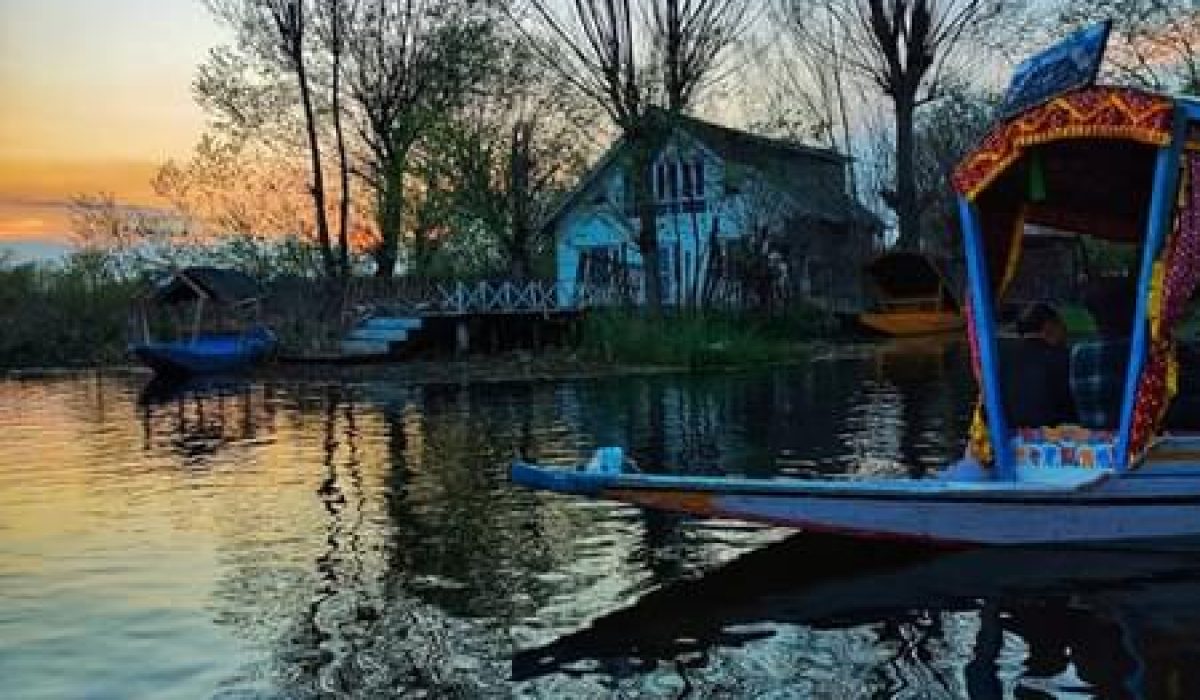 mspxuaj2rkl4kn61qiison1hh7im_ndrkvr49svb0s1xve28dzmozahs5_IMG20230321183838_01-01