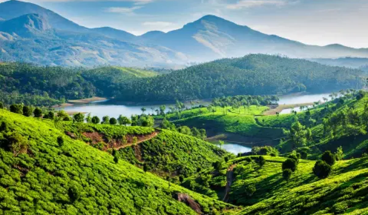 oc95fn4il5gvcvyxvt1digt9bqol_munnar-tour-packages