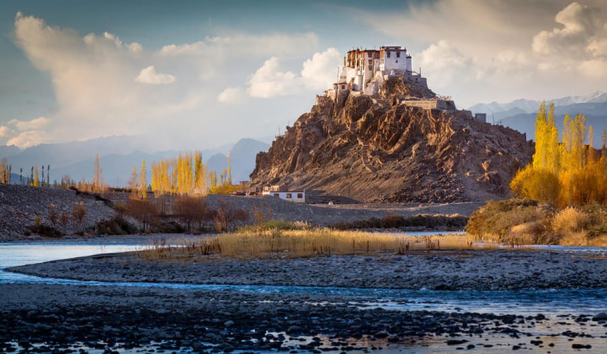 r1qr1bnfzluh64xvg7kud03hwt4r_1616225765_shutterstock_472462048 - Copy