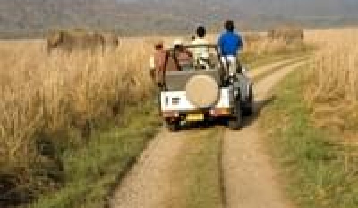 roff31frbow3o9fgo7qngi1mpcun_Downpic.cc-83625548